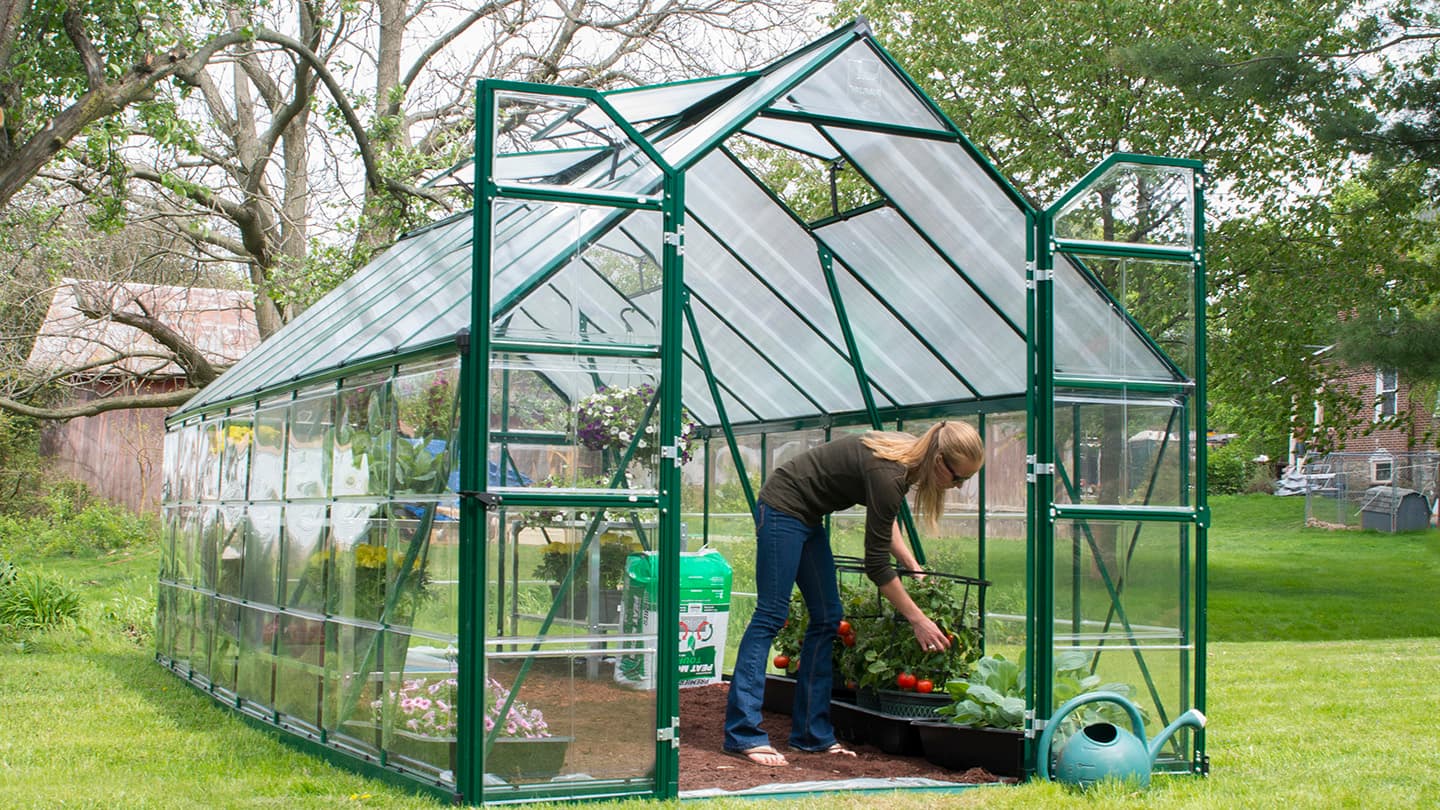 How to Organize a Home Greenhouse - The Home Depot